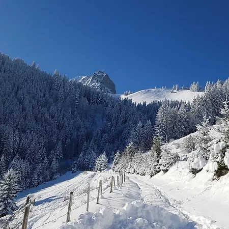 Charming Chalet With Panoramic View And Private Parking In Gruyere Greyerz Exterior foto
