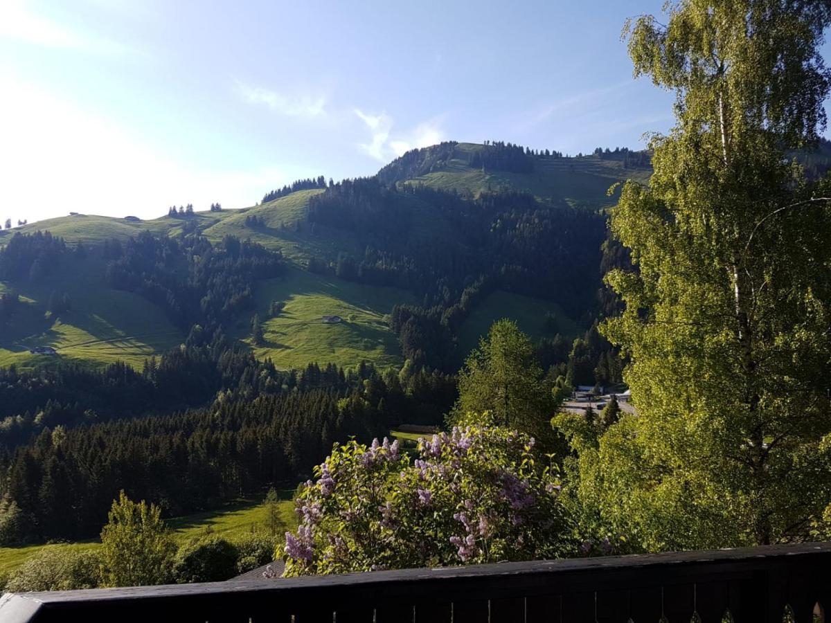 Chalet Charming With Panoramic View And Private Parking In Gruyere *