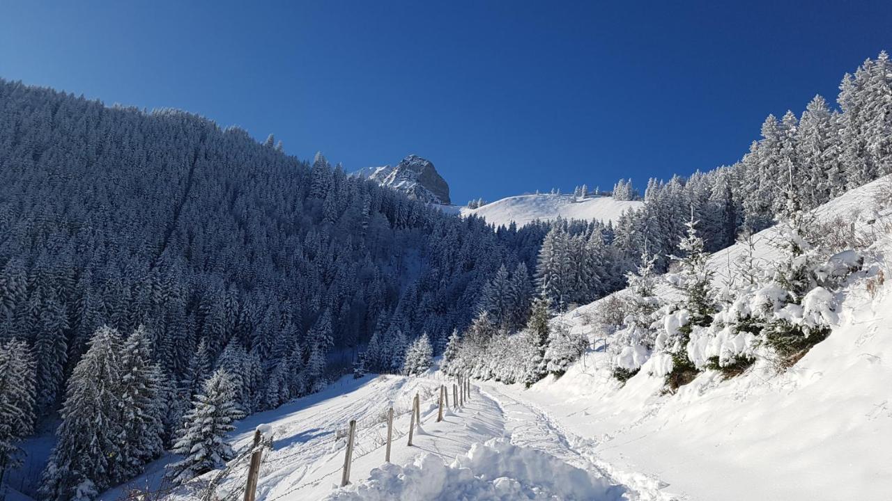 Chalet Charming With Panoramic View And Private Parking In Gruyere Greyerz