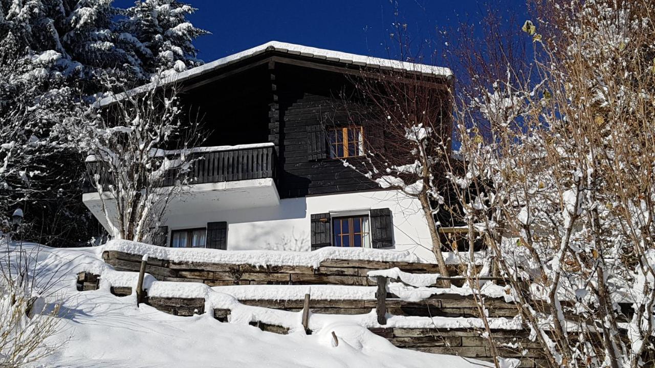 Chalet Charming With Panoramic View And Private Parking In Gruyere *