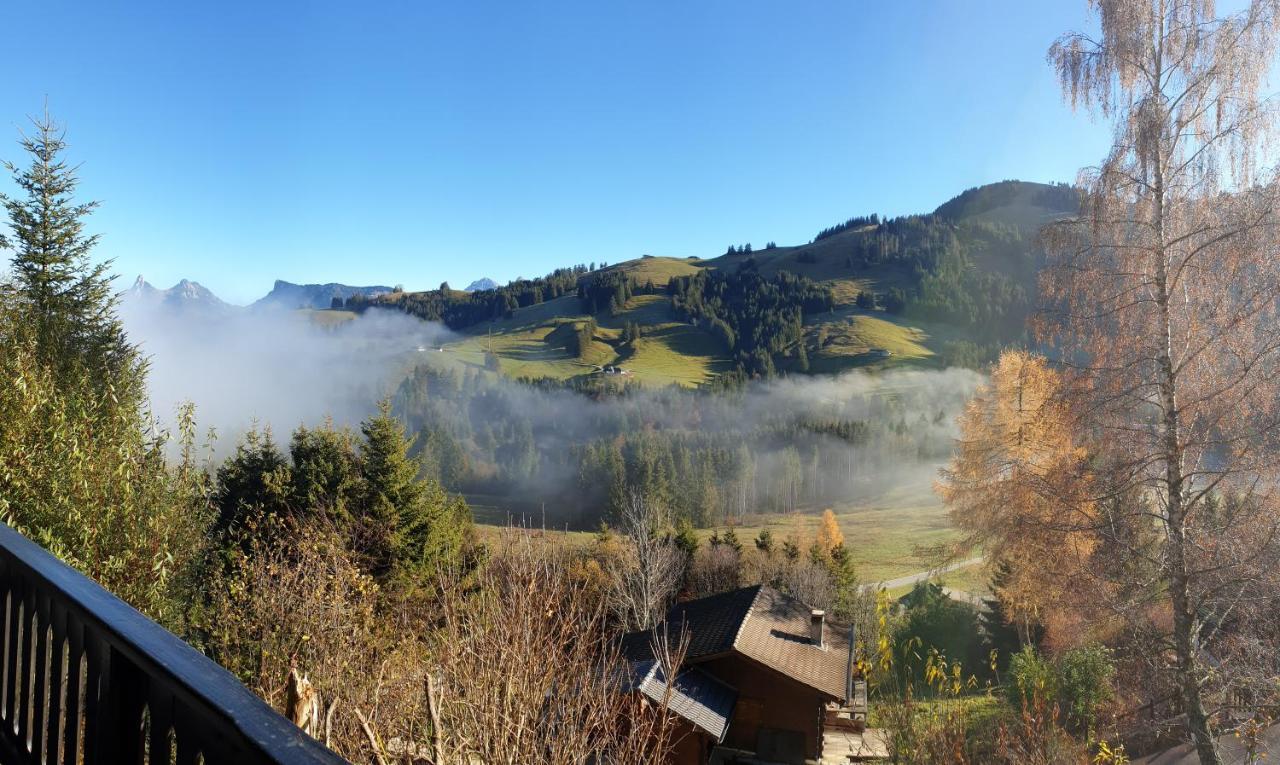 Chalet Charming With Panoramic View And Private Parking In Gruyere Greyerz