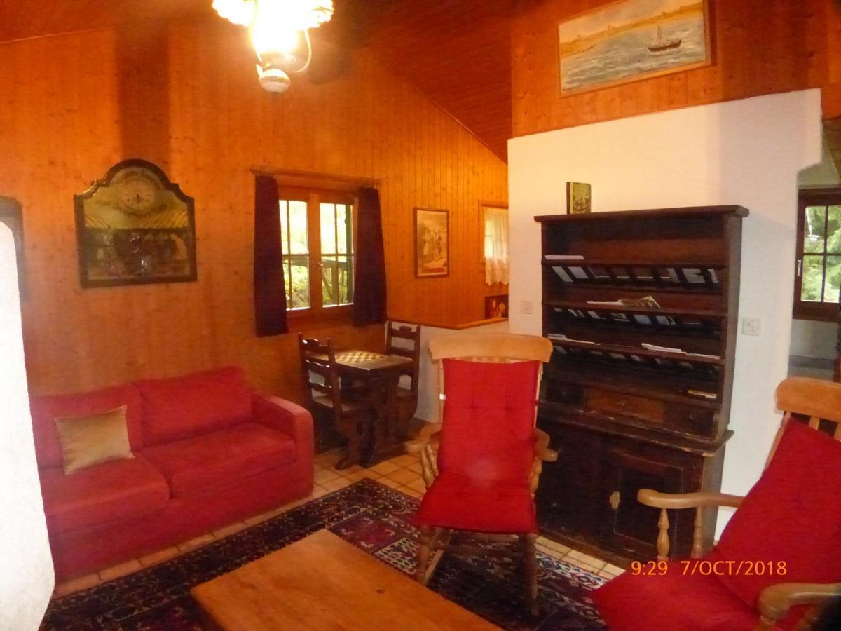 Charming With Panoramic View And Private Parking In Gruyere Greyerz